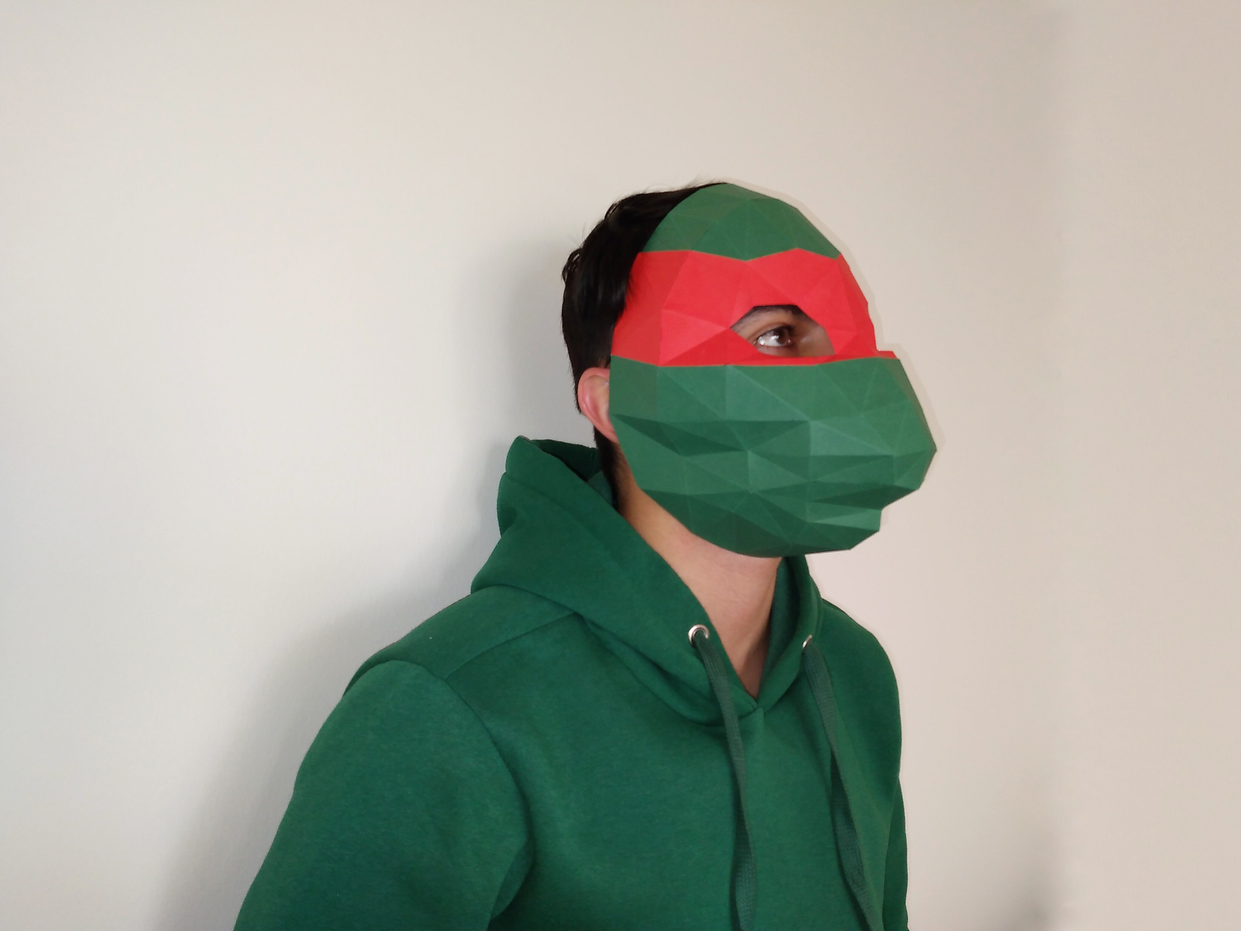 diy ninja turtles papercraft template and 3d model 3D print model_1