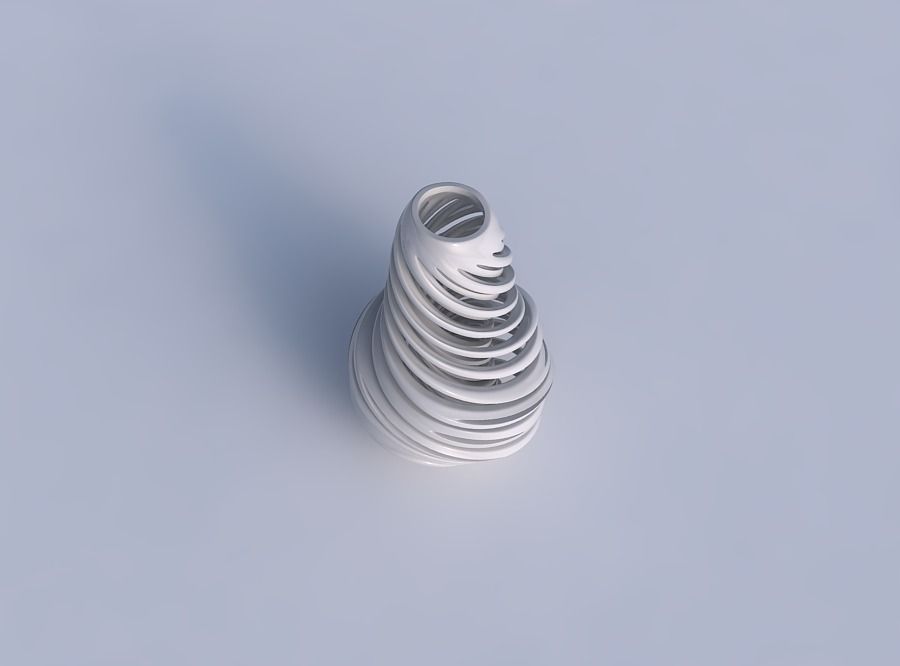 Vase bulb with twisted inner and outer lines very twisted wavy 3D print model_1