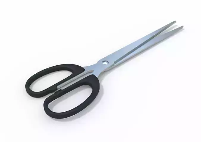 Scissors pair of 3D model