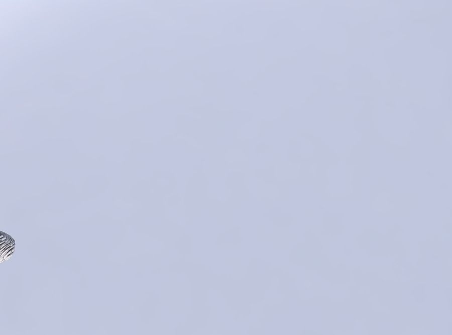 Vase bulb with twisted inner and outer lines very twisted and... 3D print model_6