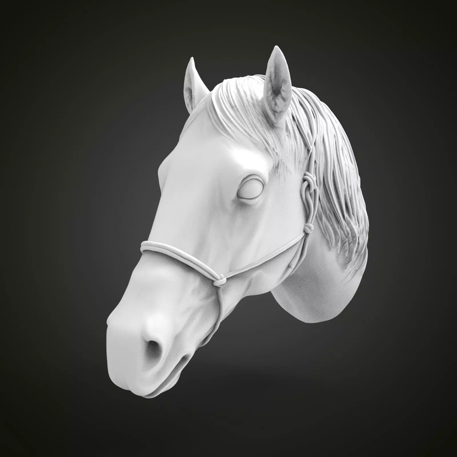 Horse head 3D print model