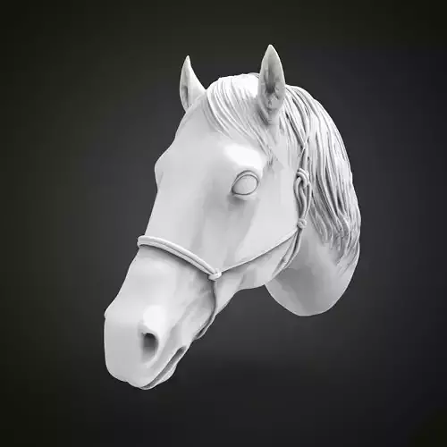 Horse head 3D print model