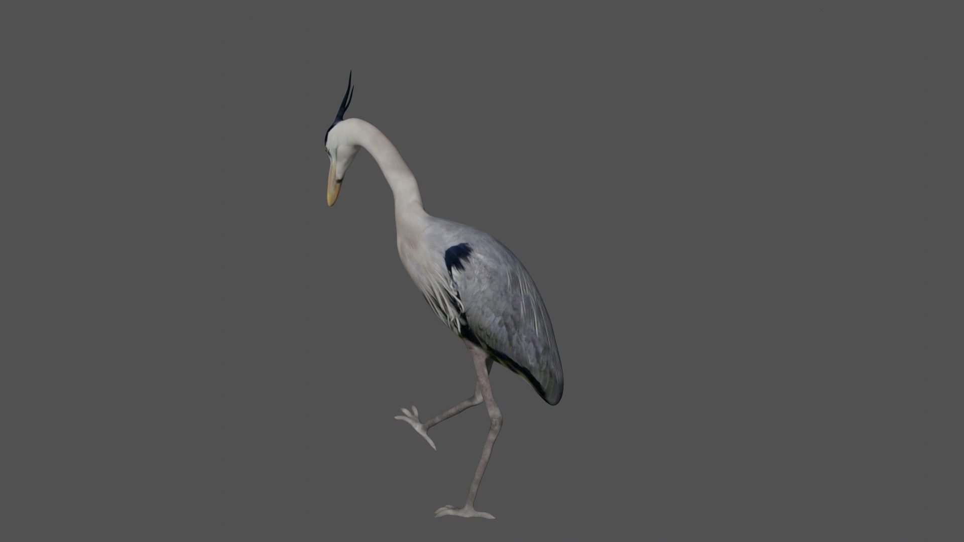 Heron bird Low-poly 3D model_4