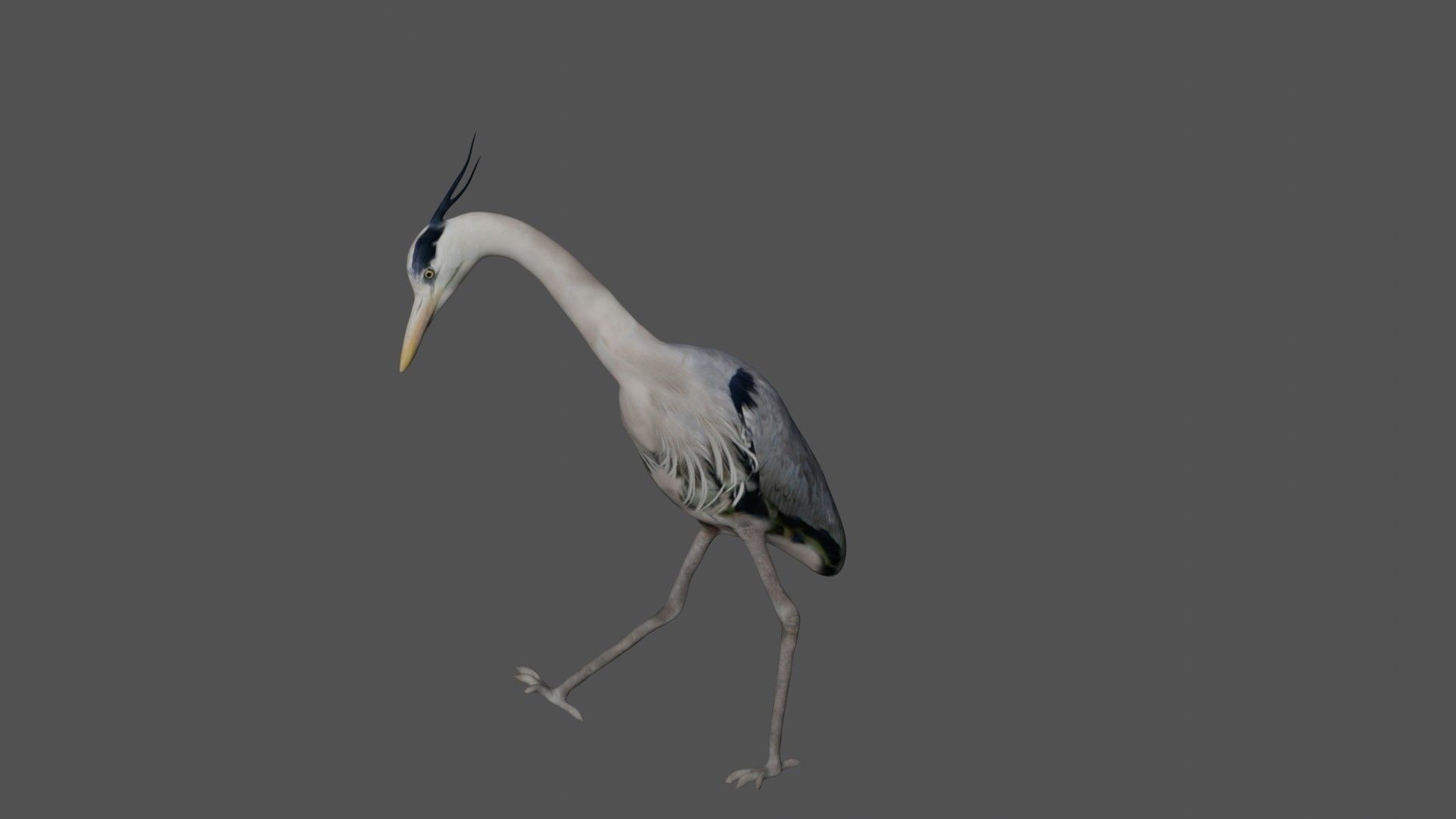 Heron bird Low-poly 3D model_3