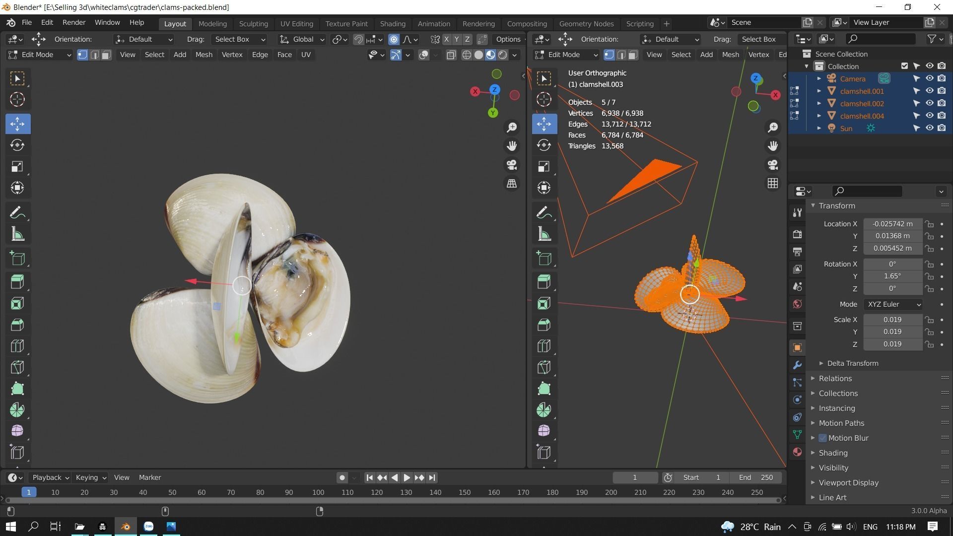 White clams Low-poly 3D model_18