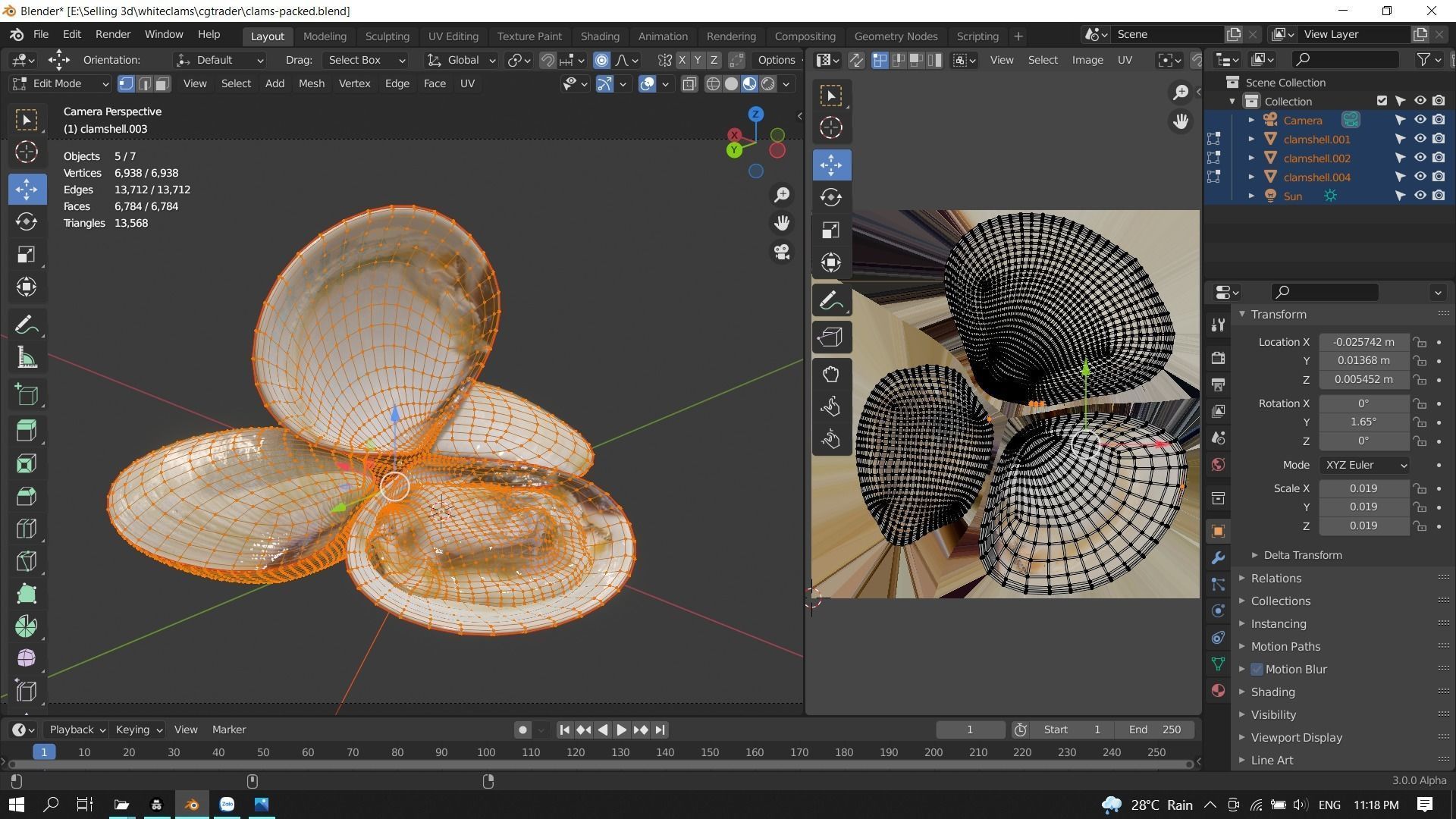 White clams Low-poly 3D model_17
