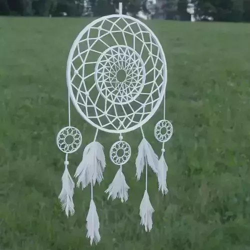 Dreamcatcher dream catcher hanging in grassy field