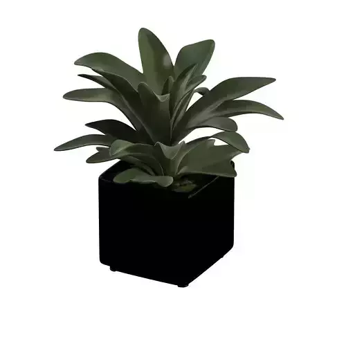 Plant Pot Realistic tree using V-ray render