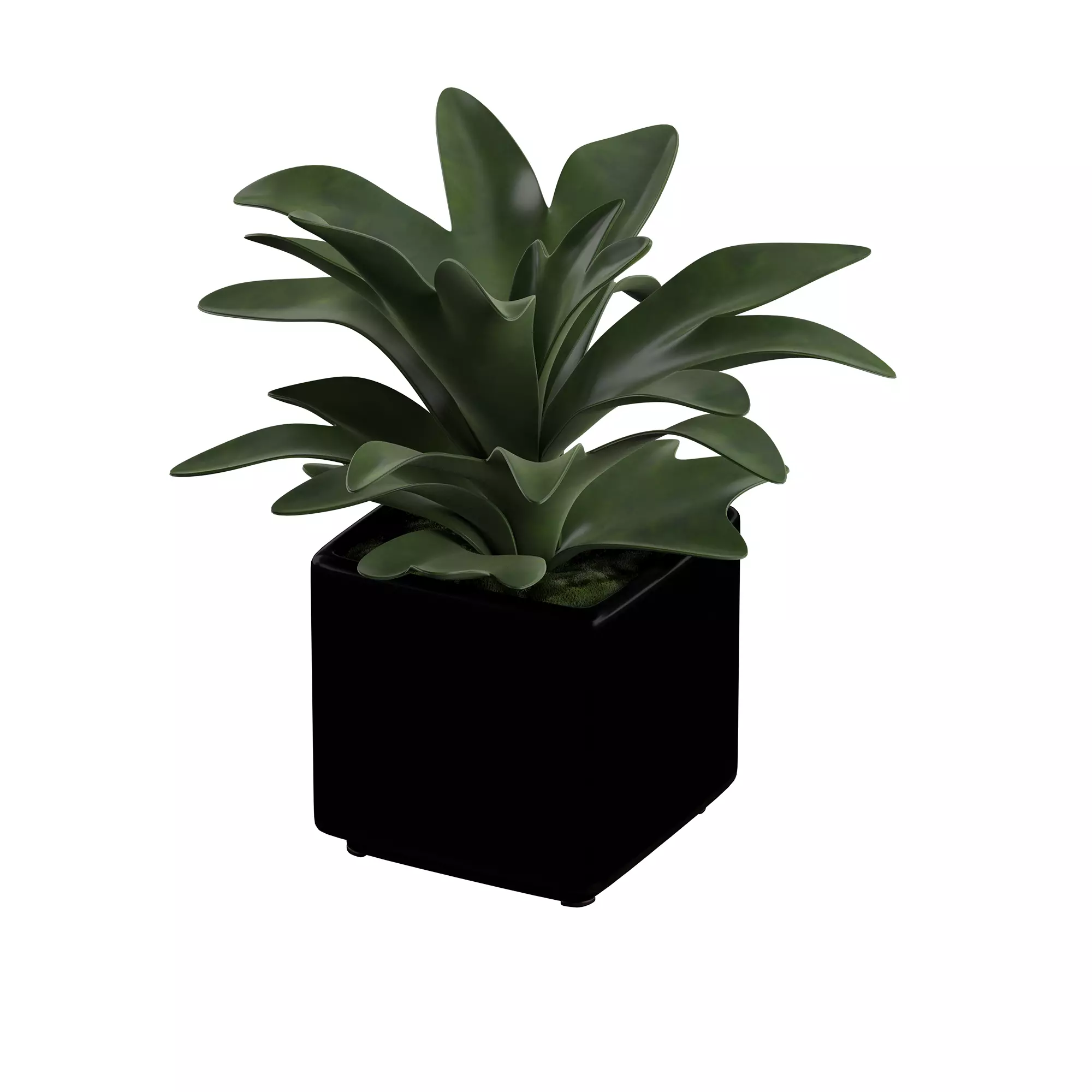 Plant Pot Realistic tree using V-ray render 3D model_0