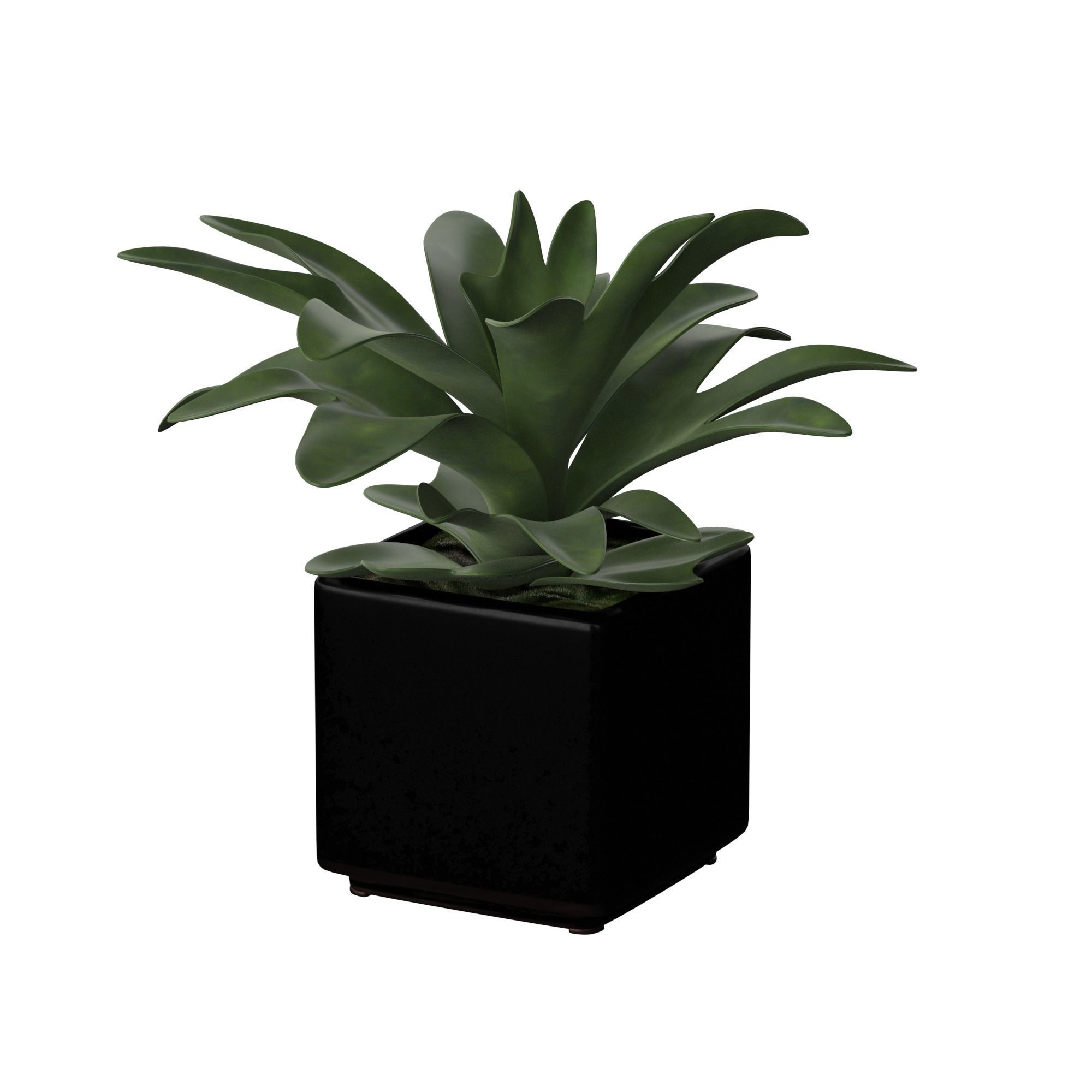 Plant Pot Realistic tree using V-ray render 3D model_2