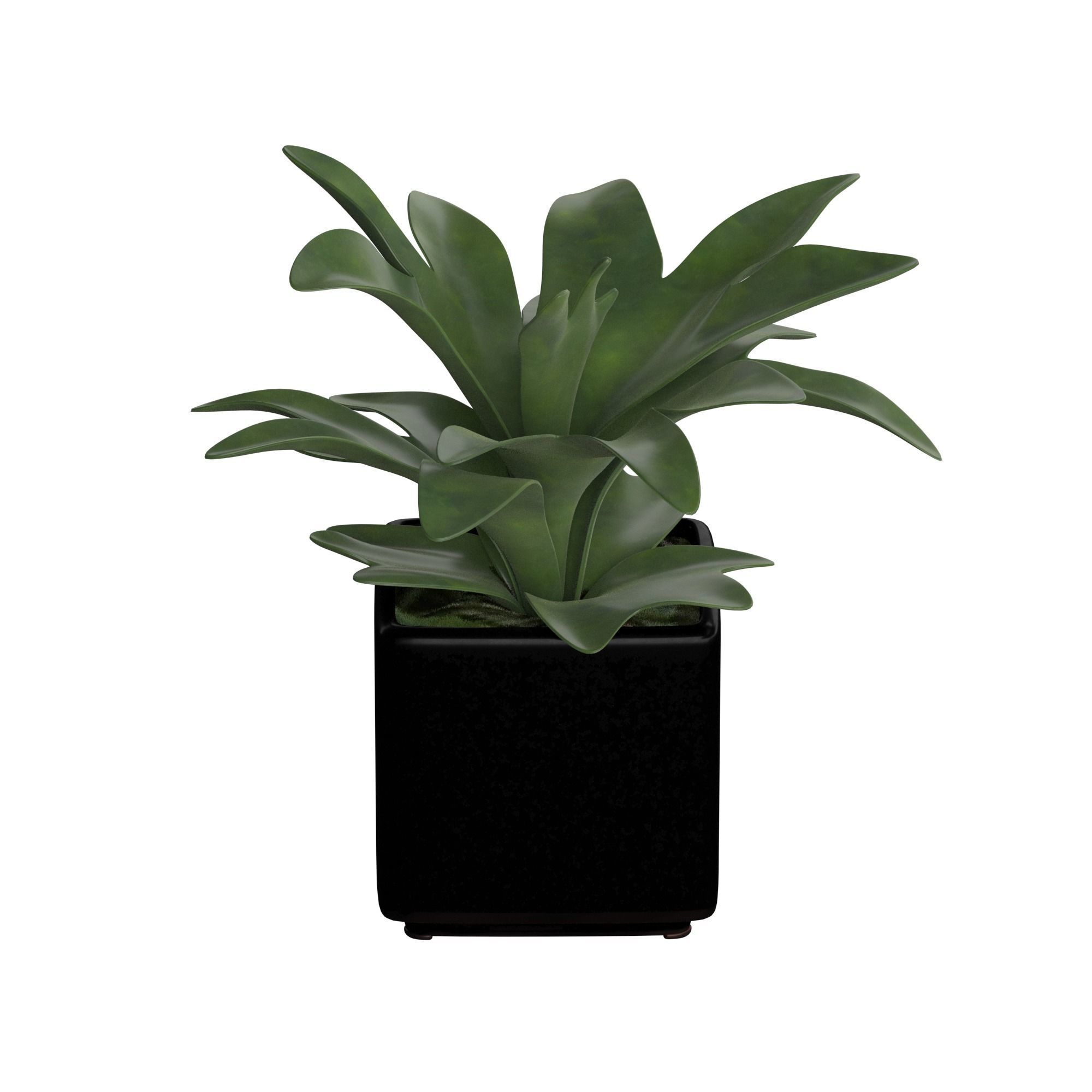 Plant Pot Realistic tree using V-ray render 3D model_4