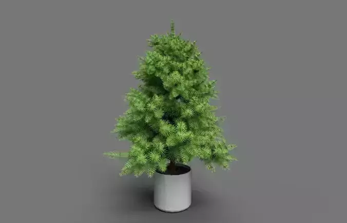 Christmas Tree 