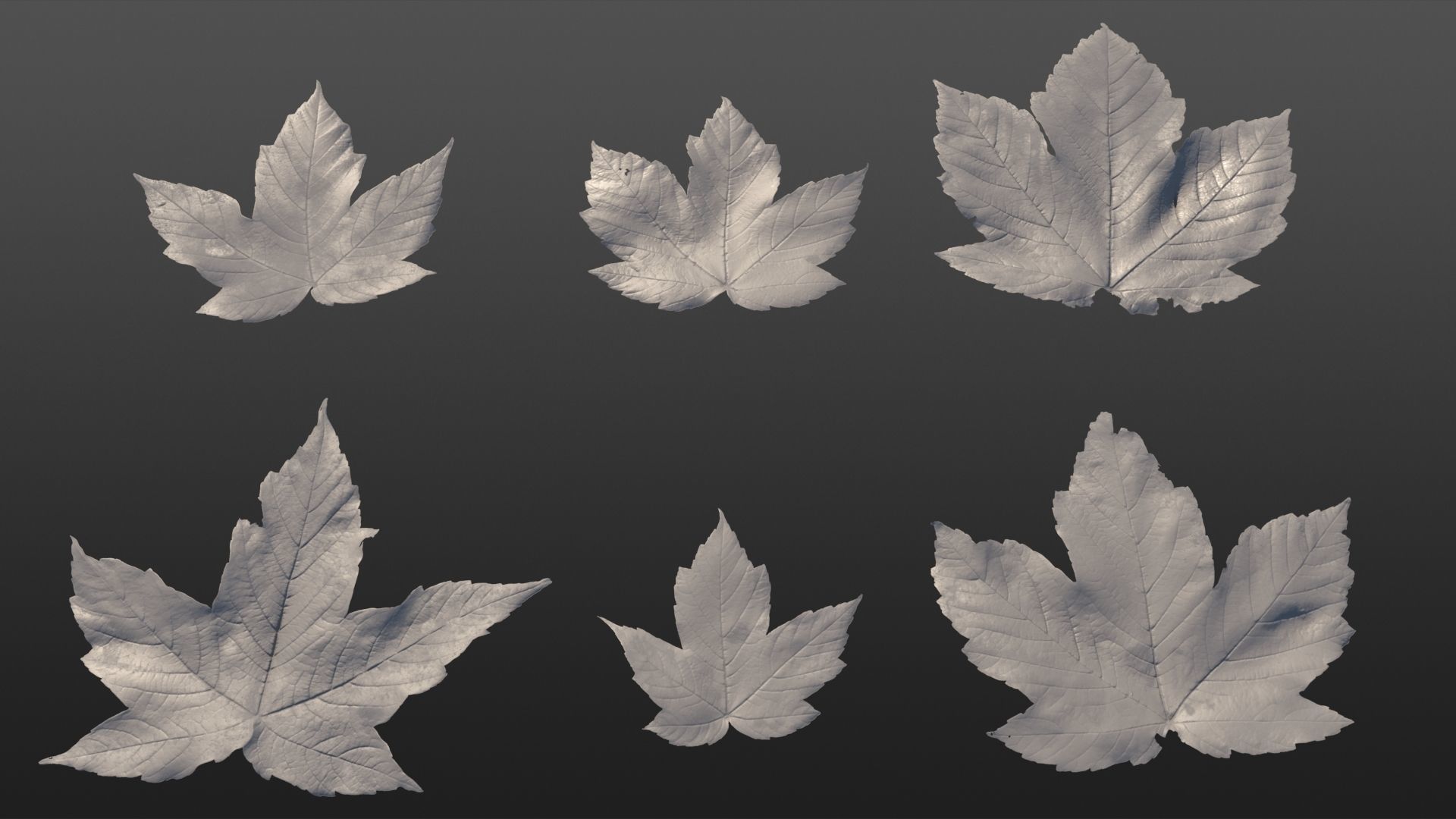 Acer platanoides autumn leaves texture Texture_4