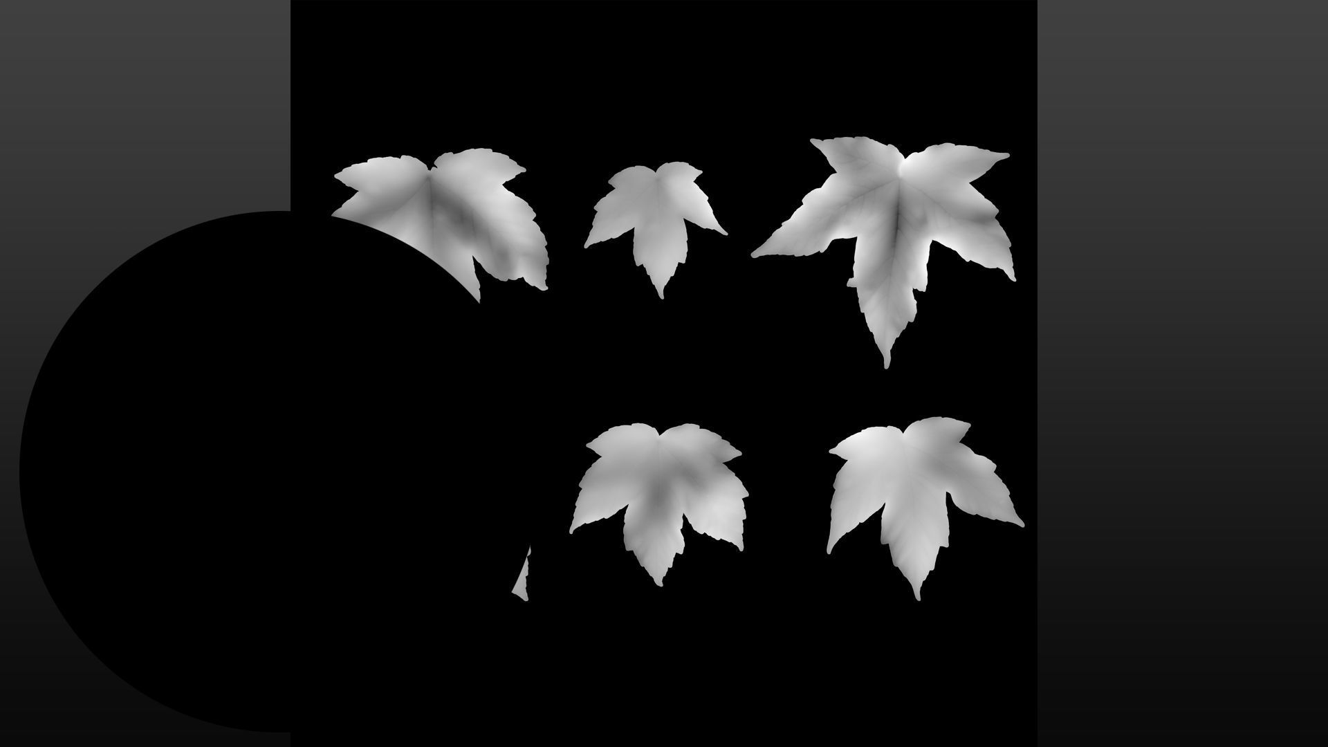 Acer platanoides autumn leaves texture Texture_9