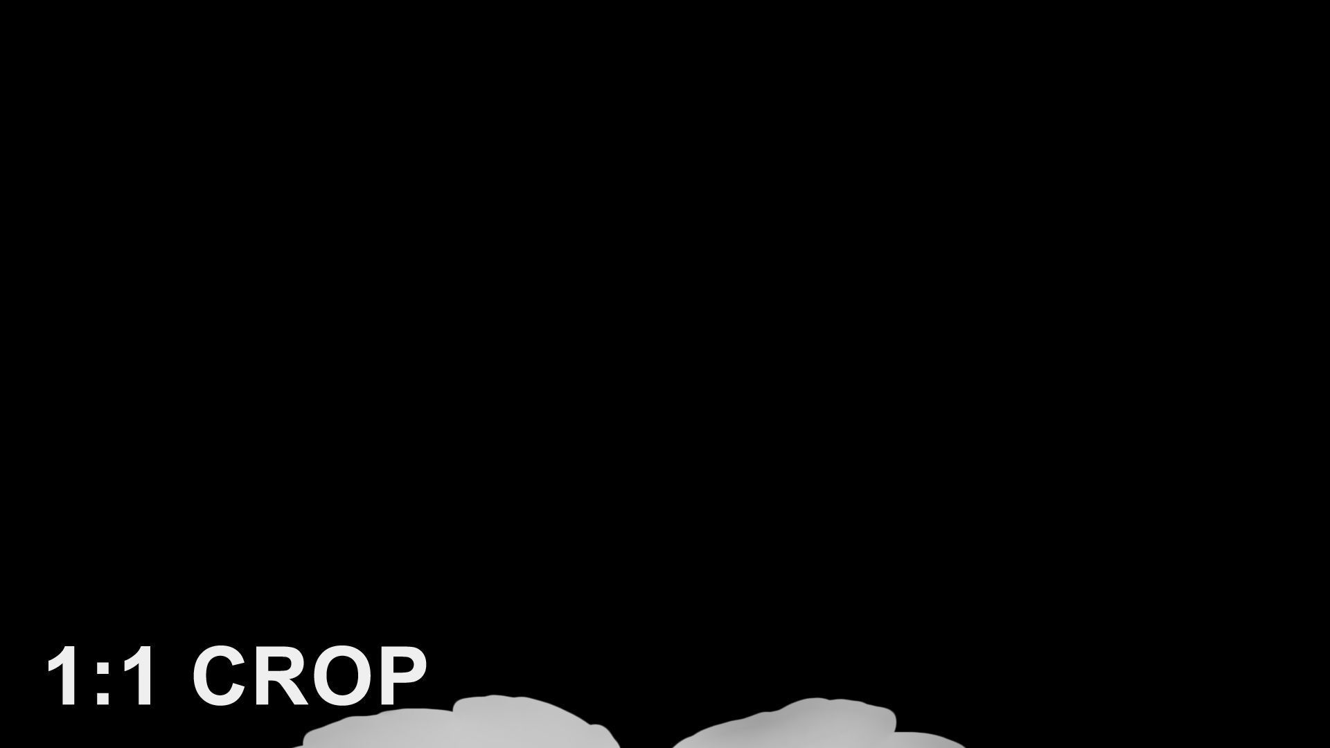 Acer platanoides autumn leaves texture Texture_16