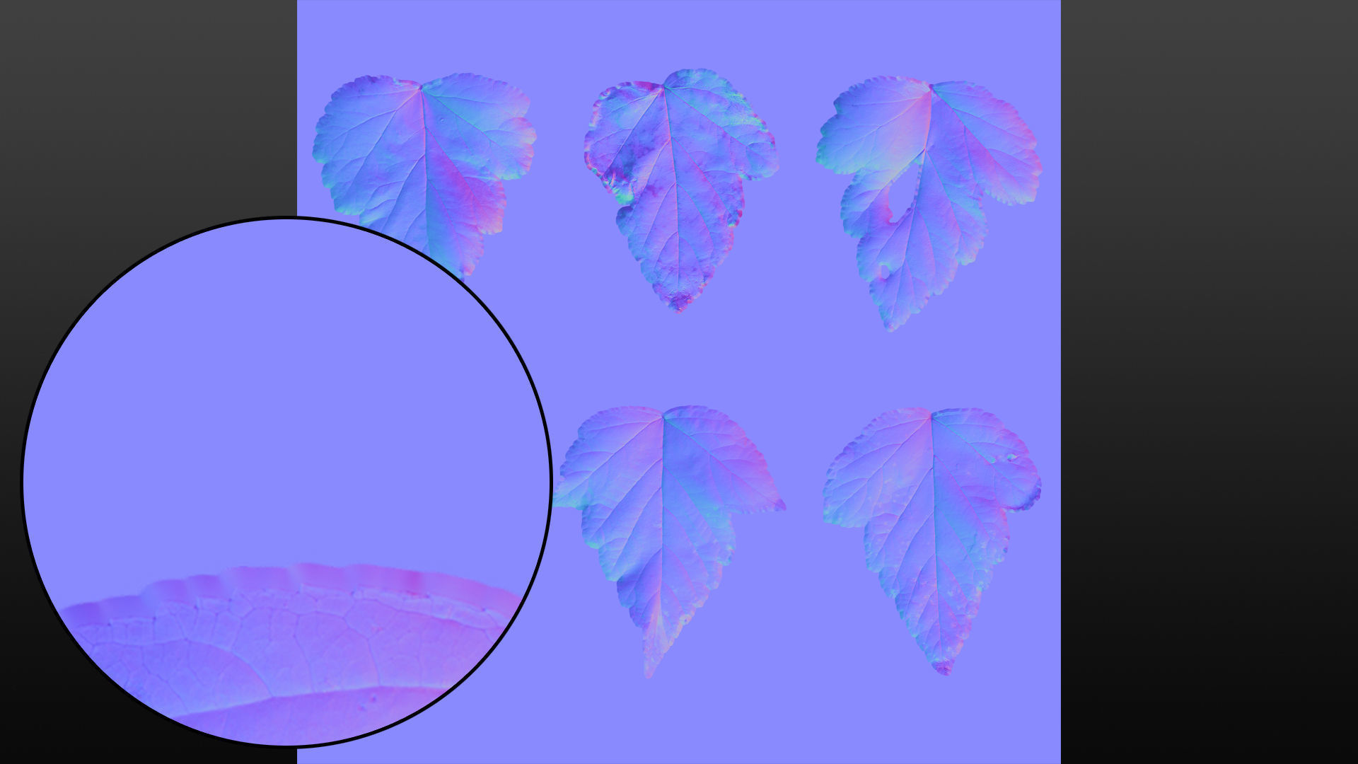 Autumn leaves texture - Physocarpus opulifolius Texture_10