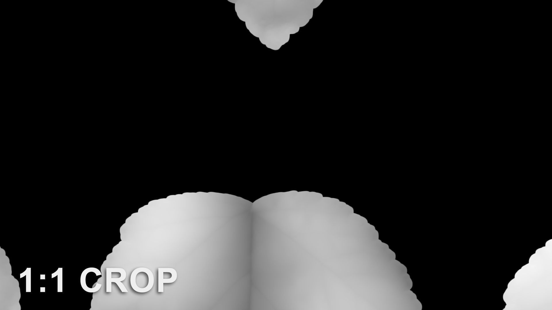 Autumn leaves texture - Physocarpus opulifolius Texture_15