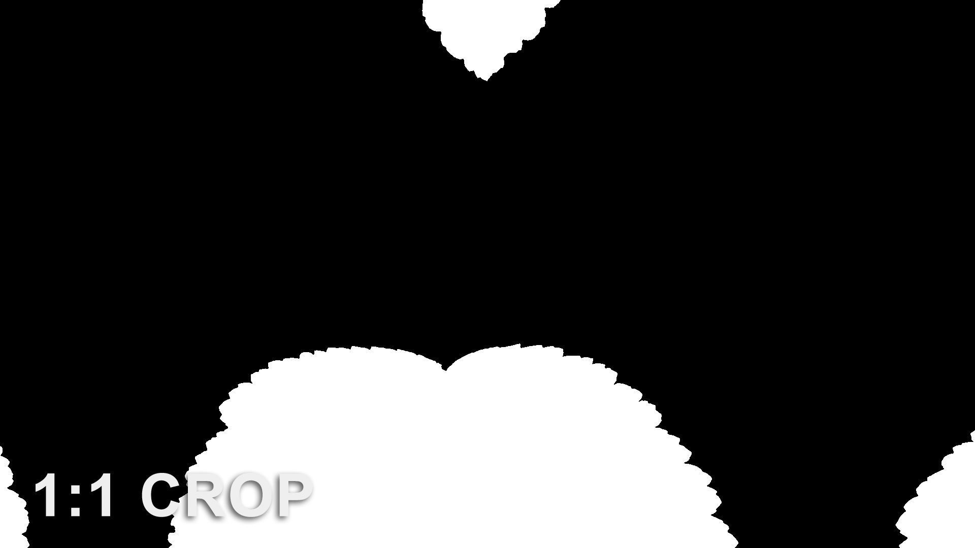 Autumn leaves texture - Physocarpus opulifolius Texture_14