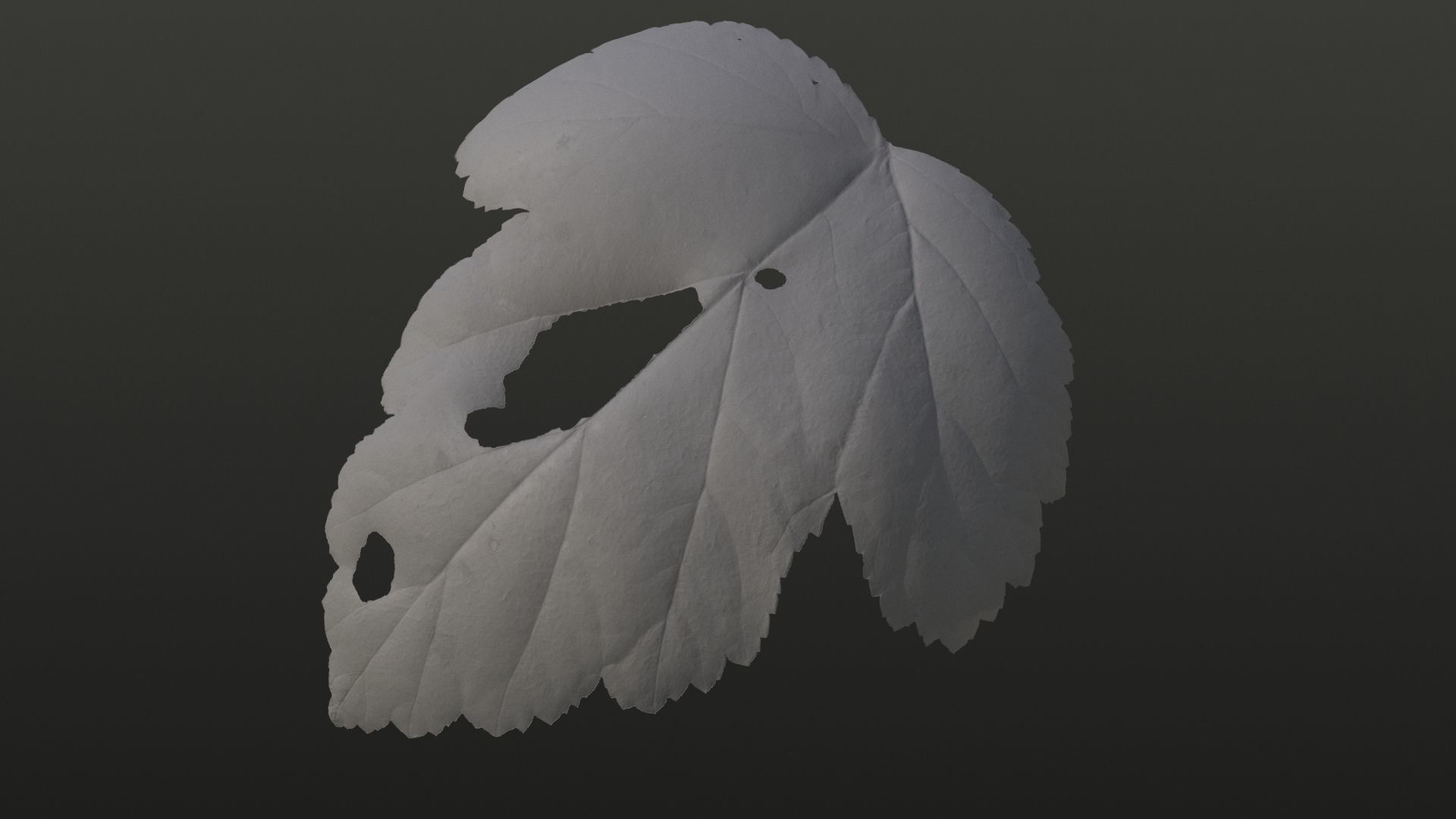 Autumn leaves texture - Physocarpus opulifolius Texture_3