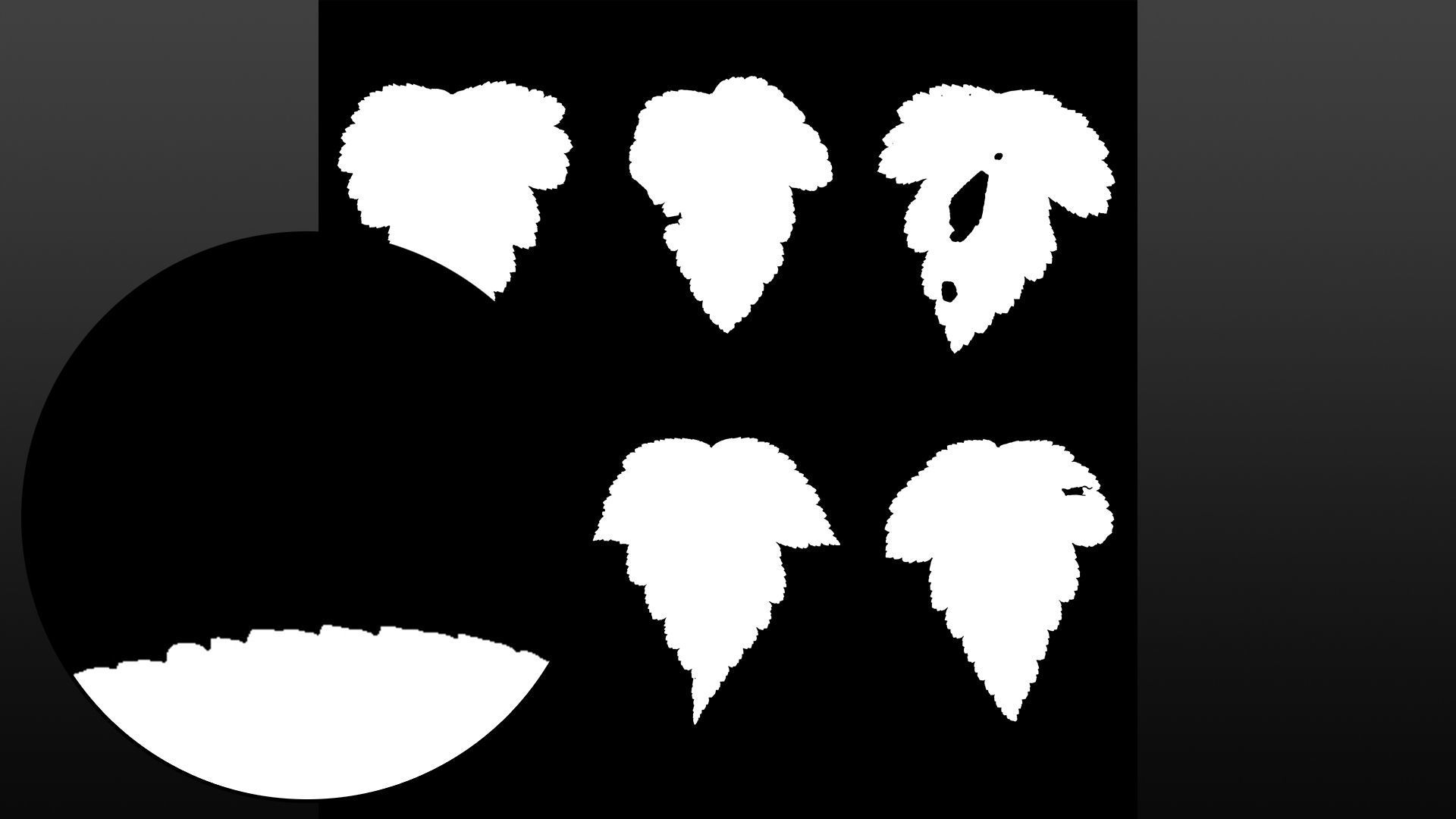 Autumn leaves texture - Physocarpus opulifolius Texture_7