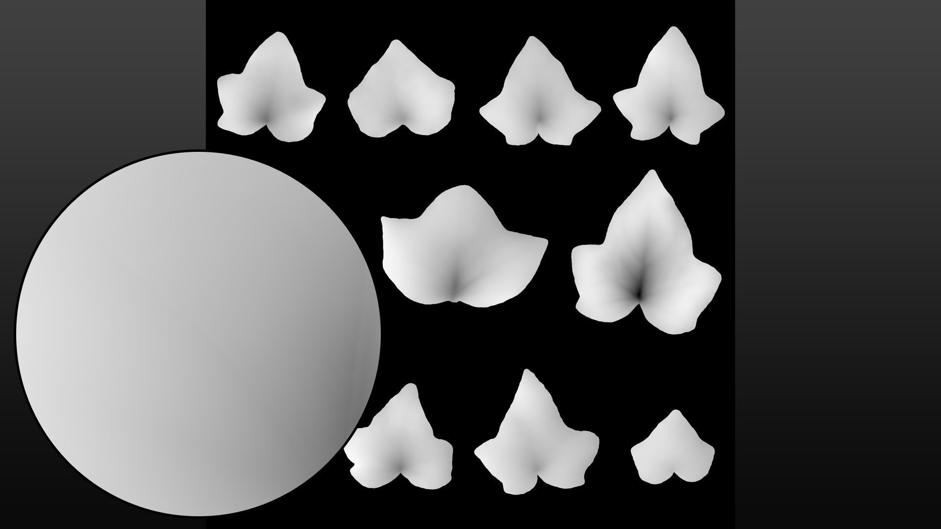 Ivy leaf textures - hedera helix Texture_6