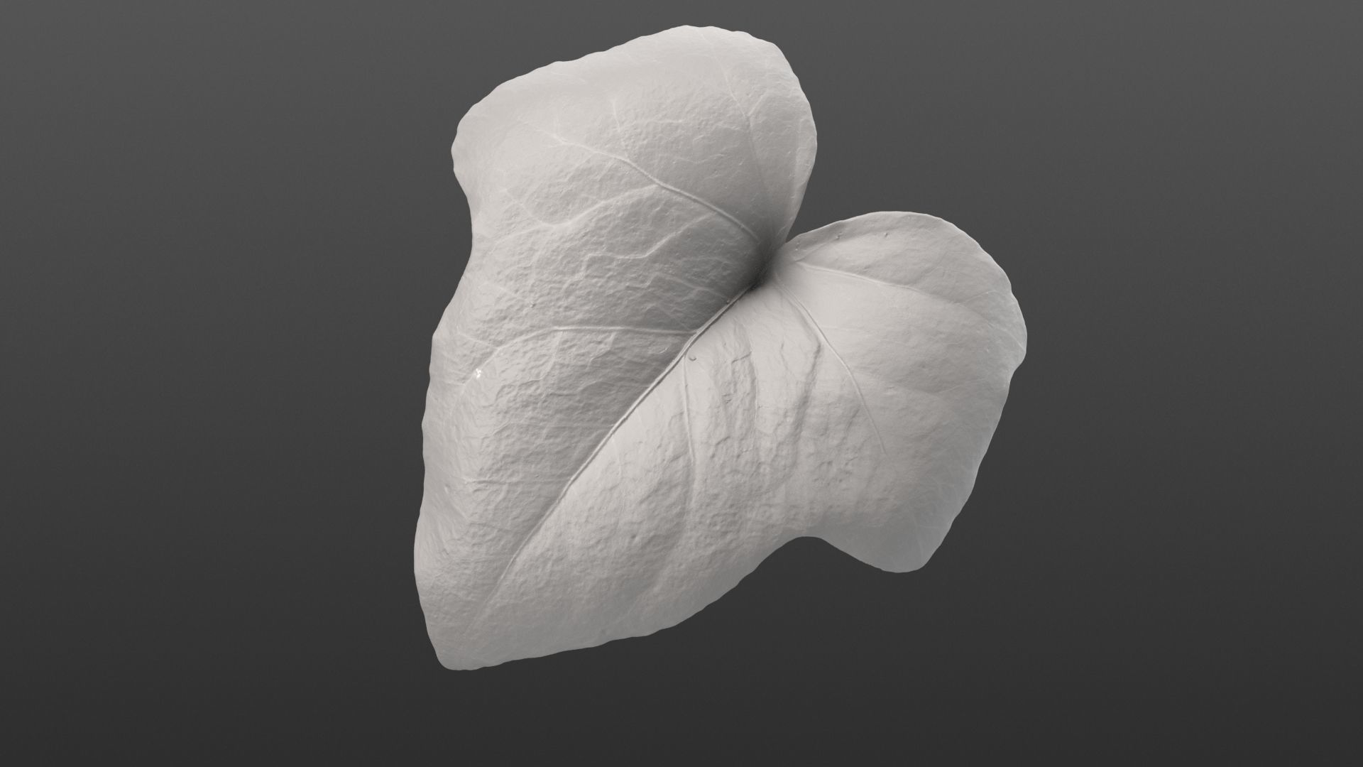 Ivy leaf textures - hedera helix Texture_2