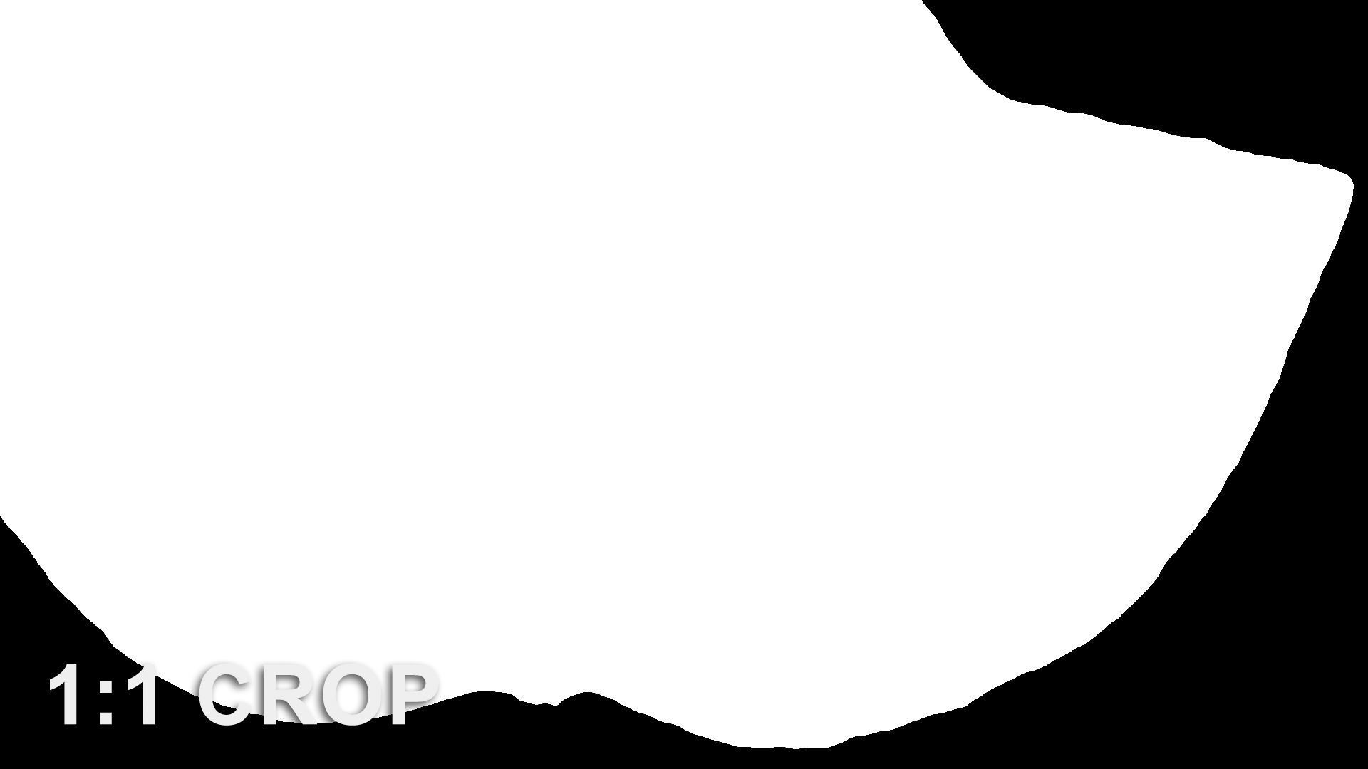 Ivy leaf textures - hedera helix Texture_16