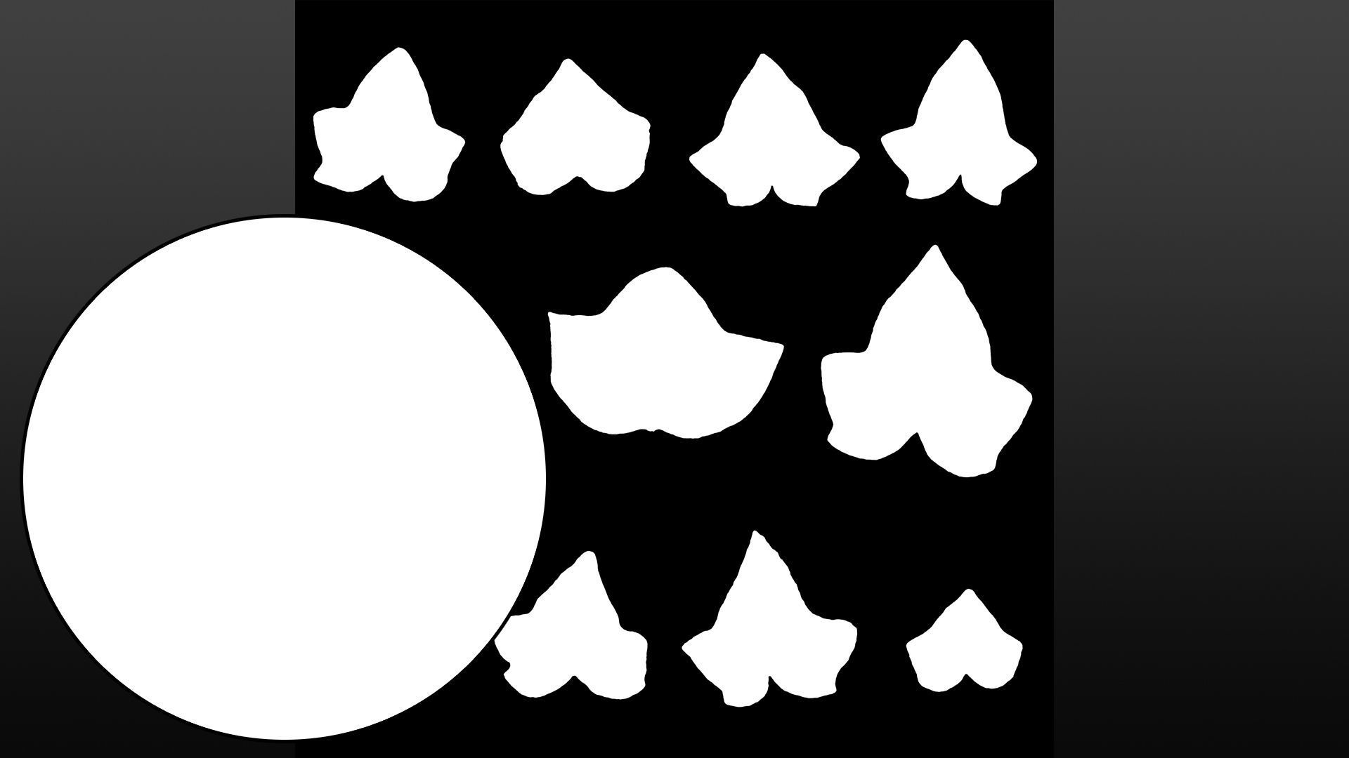 Ivy leaf textures - hedera helix Texture_9