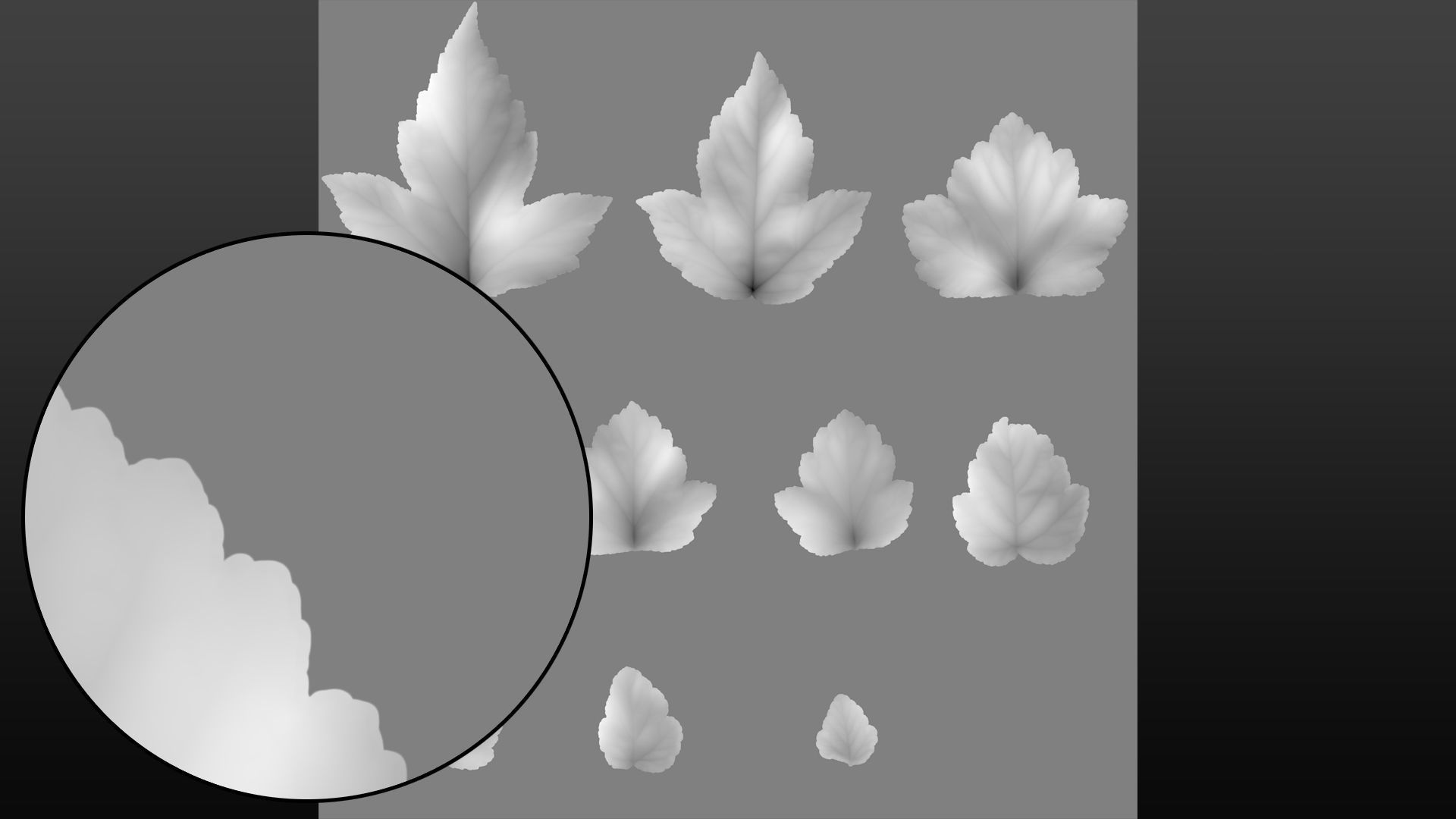 Natural tree leaf texture - Physocarpus opulifolius Texture_7