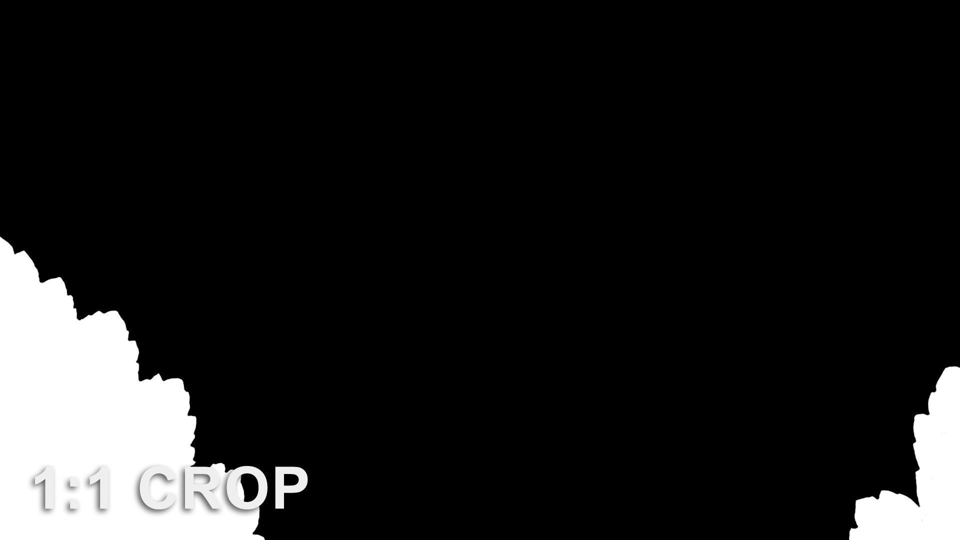 Natural tree leaf texture - Physocarpus opulifolius Texture_11