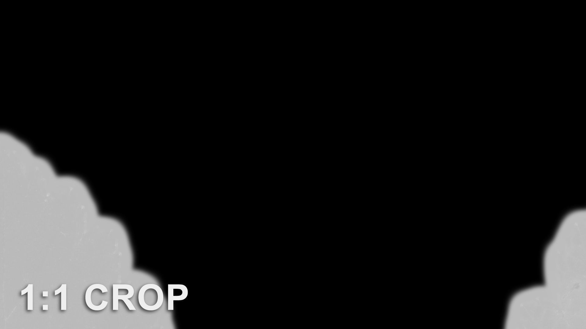 Natural tree leaf texture - Physocarpus opulifolius Texture_15