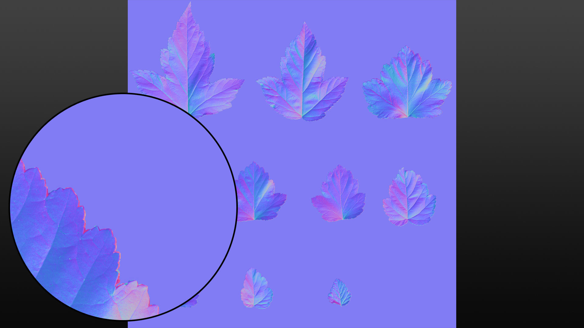 Natural tree leaf texture - Physocarpus opulifolius Texture_9