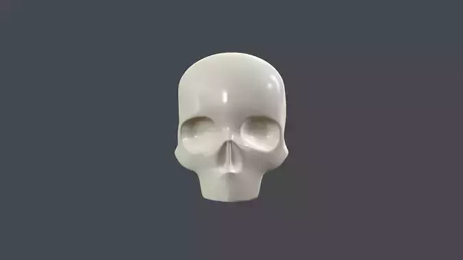 Stylized 3D model of human skull without the lower jaw