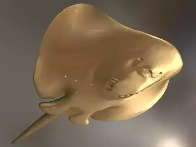 Realistic Stingray gold