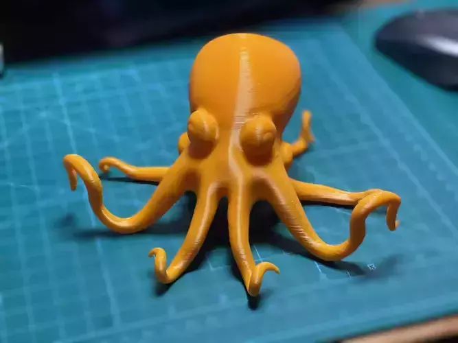Octopus