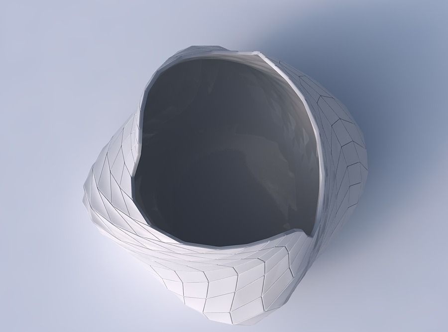 Bowl twisted elipse with wavy grid plates 3D print model_2