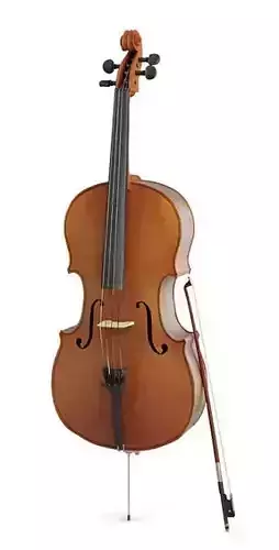 Antique Wooden Violin