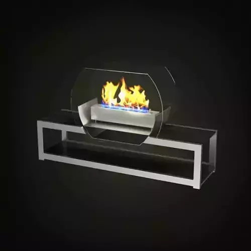 Modern Fishbowl Fireplace