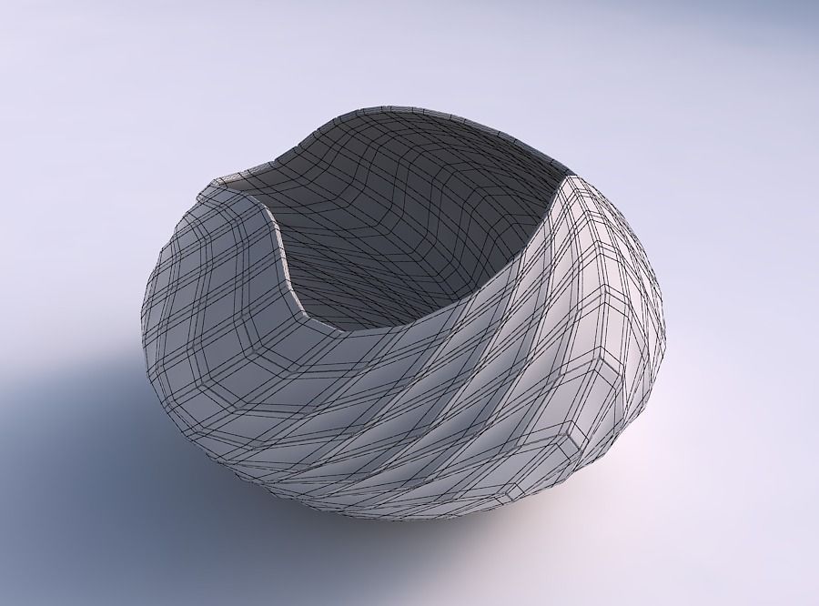 Bowl squeezed twisted with wavy grid plates 3D print model_5