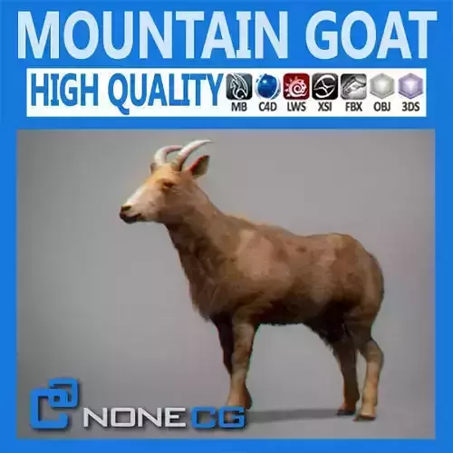 Mountain Goat