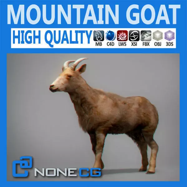 Mountain Goat 3D model_0