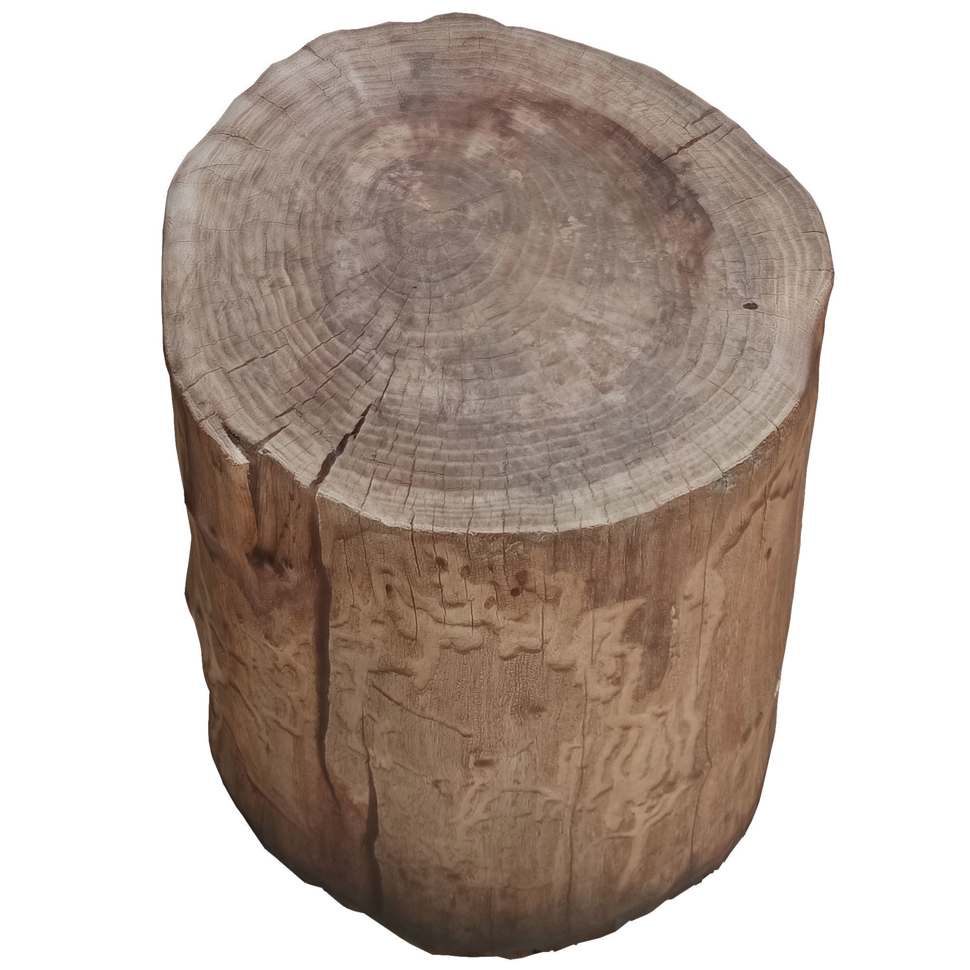 tree truck 1 Low-poly 3D model_3