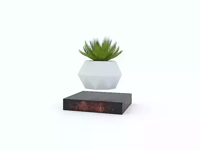 Levitating Plant Pot