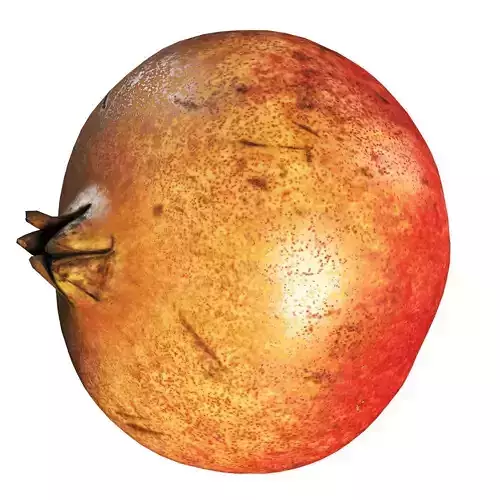 4k scanned Pomegranate