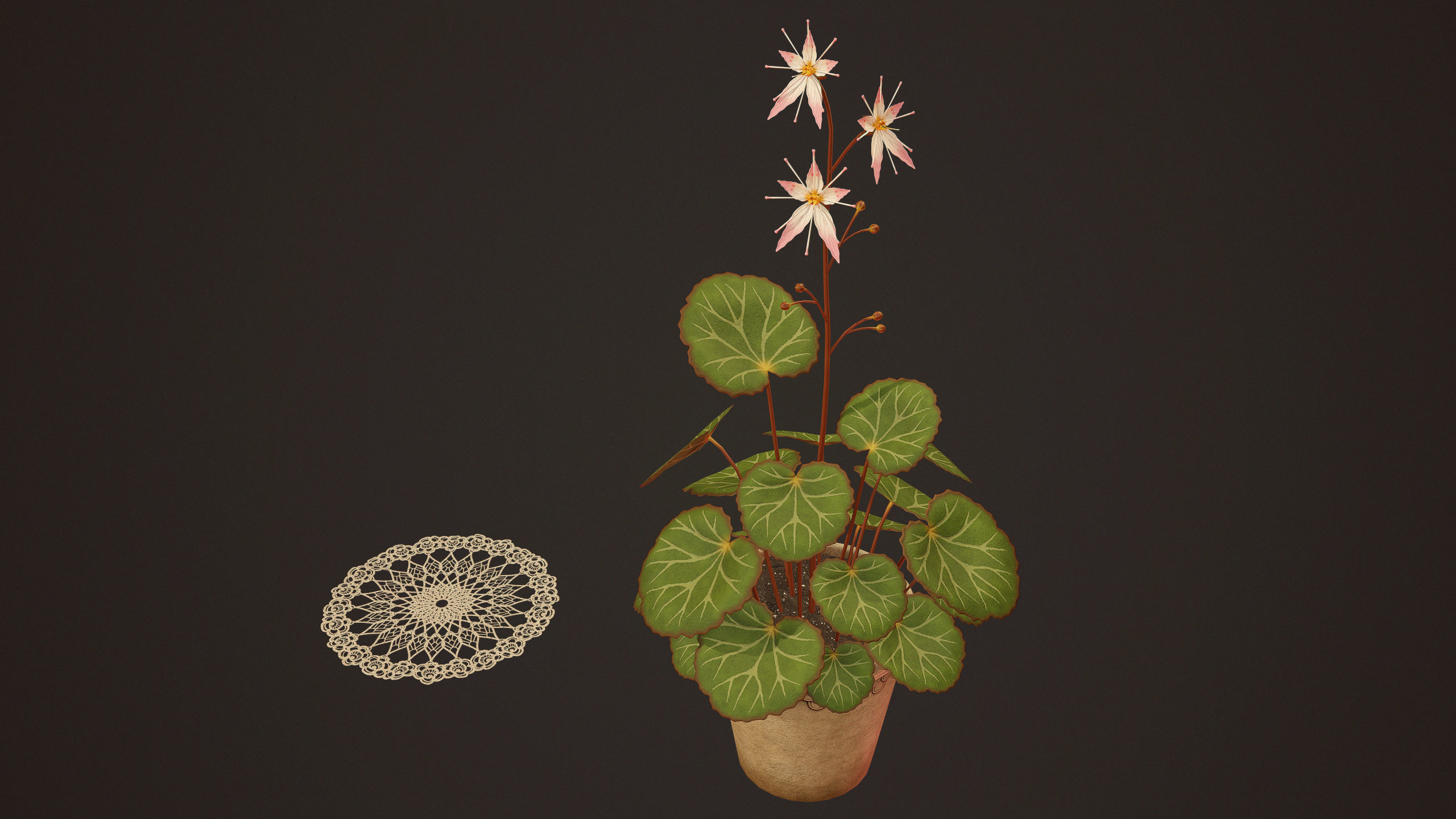 House Plant - PBR Game Ready Low-poly 3D model_6