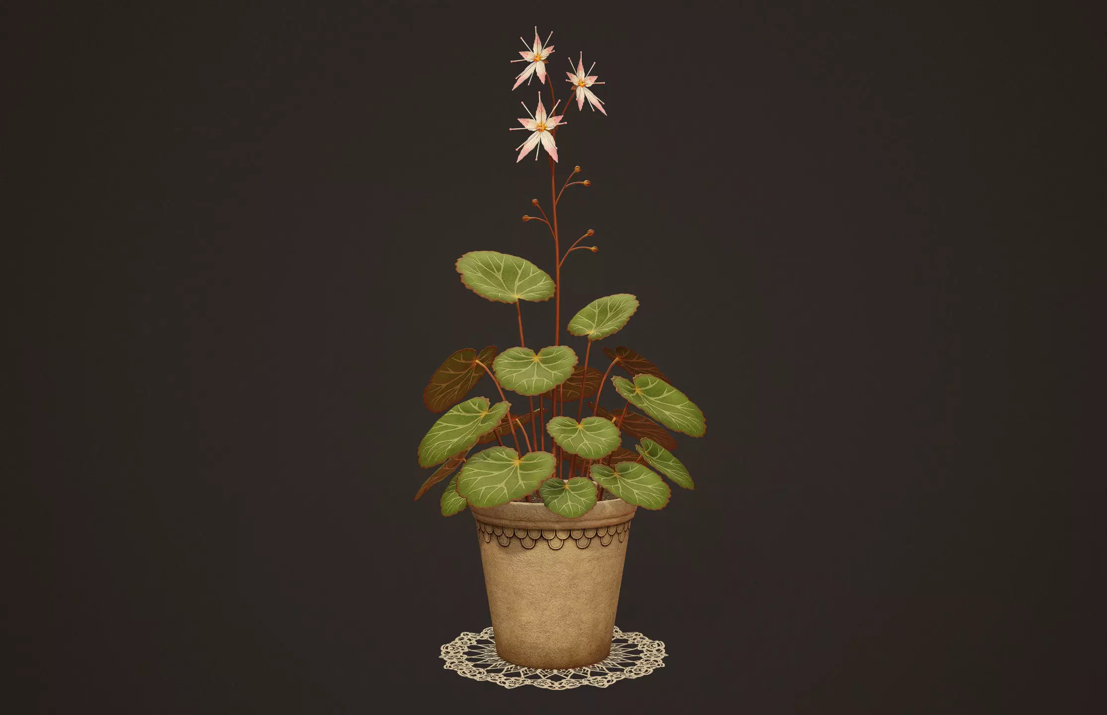 House Plant - PBR Game Ready Low-poly 3D model_0