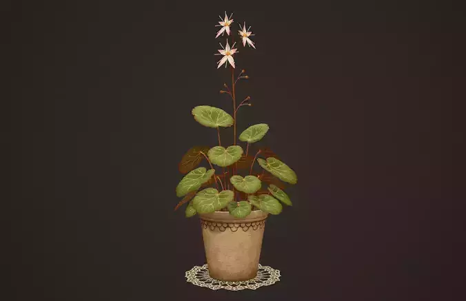 House Plant - PBR Game Ready Low-poly 3D model