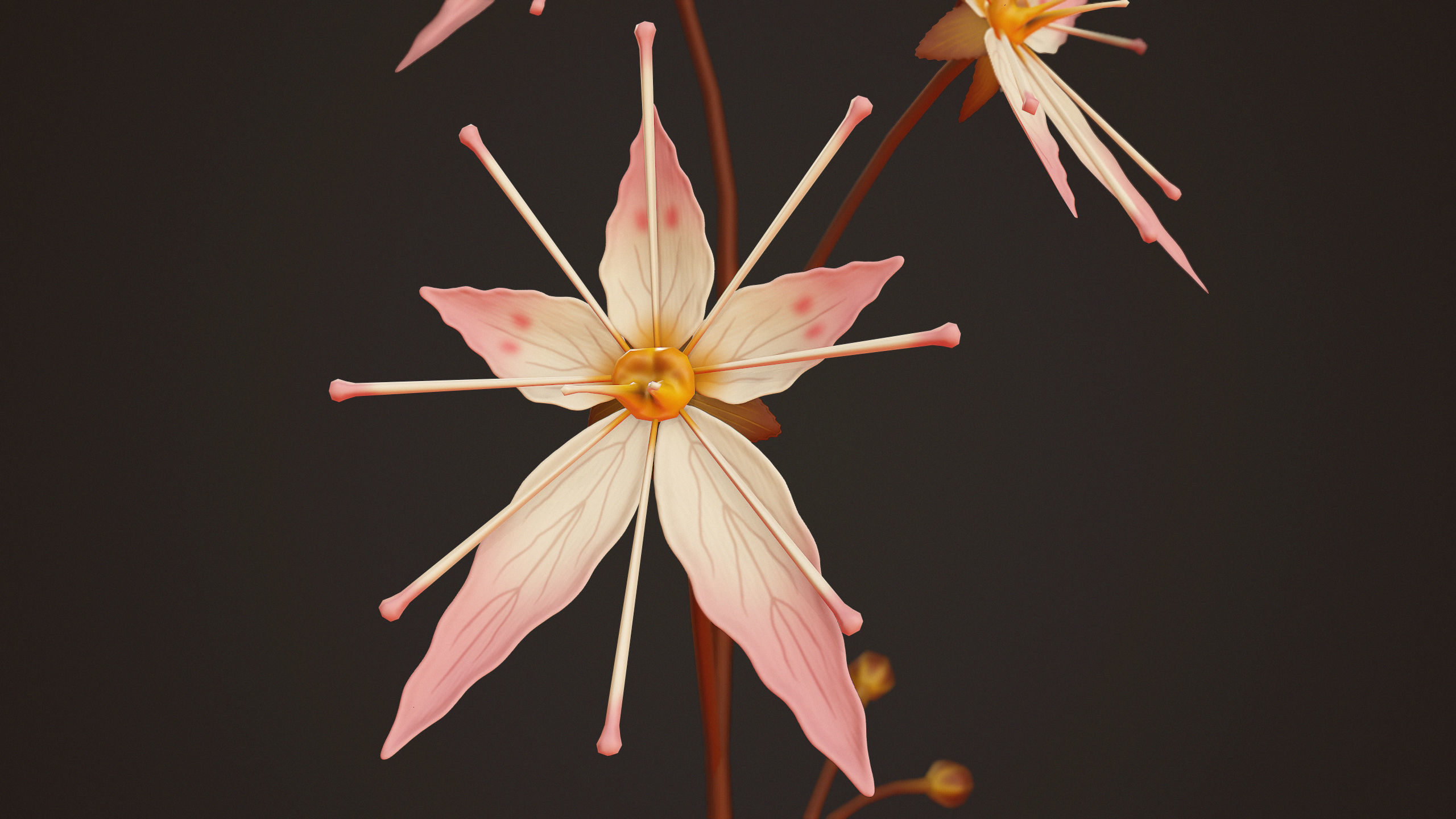 House Plant - PBR Game Ready Low-poly 3D model_8