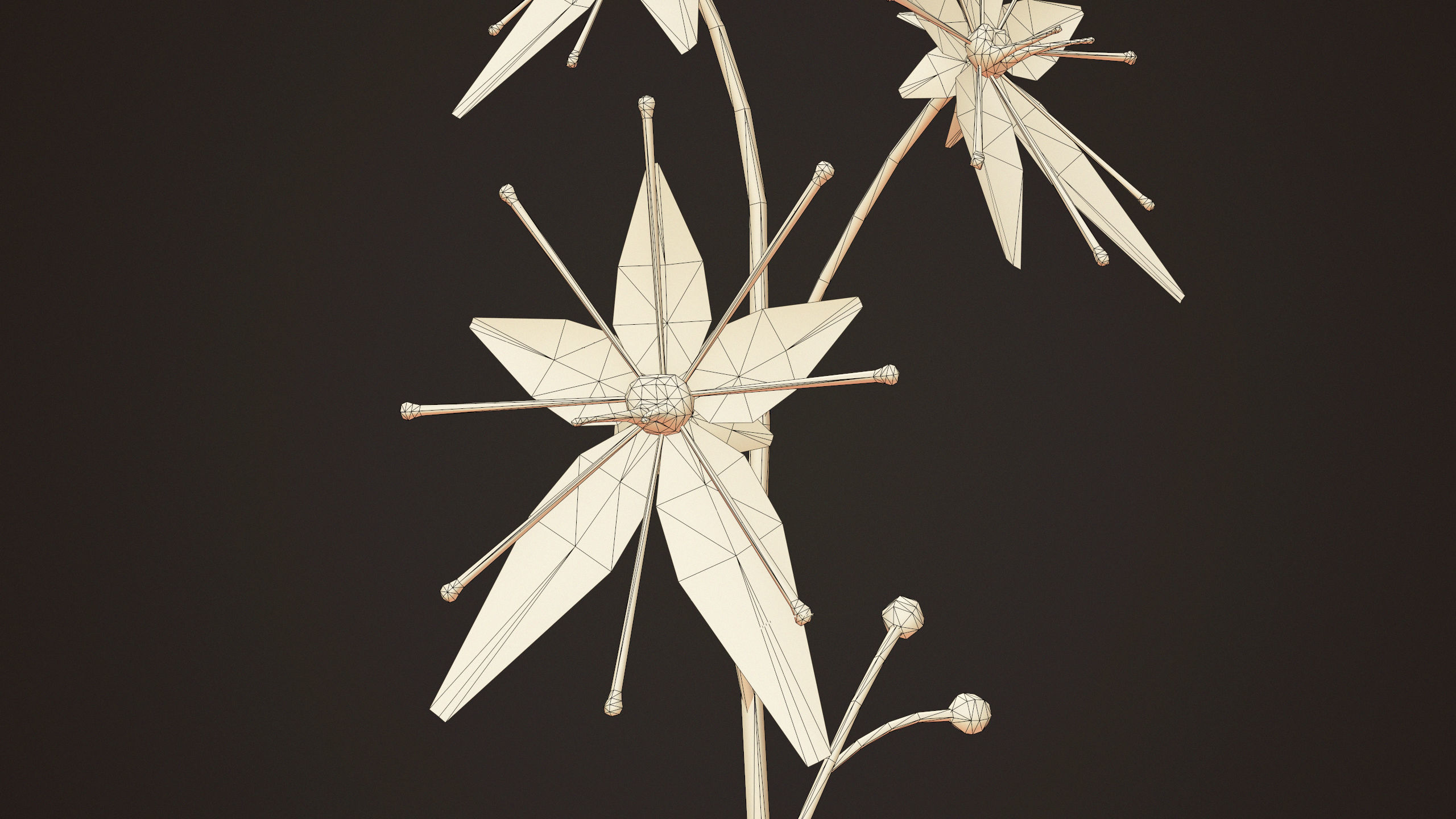 House Plant - PBR Game Ready Low-poly 3D model_10