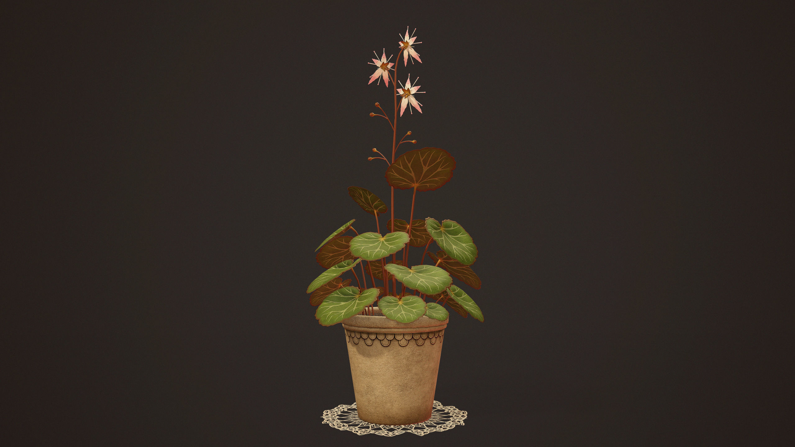 House Plant - PBR Game Ready Low-poly 3D model_5